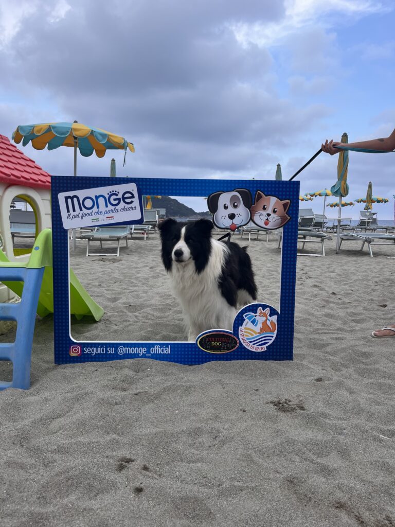 Spiaggia con area attrezzata per cani ad Albenga