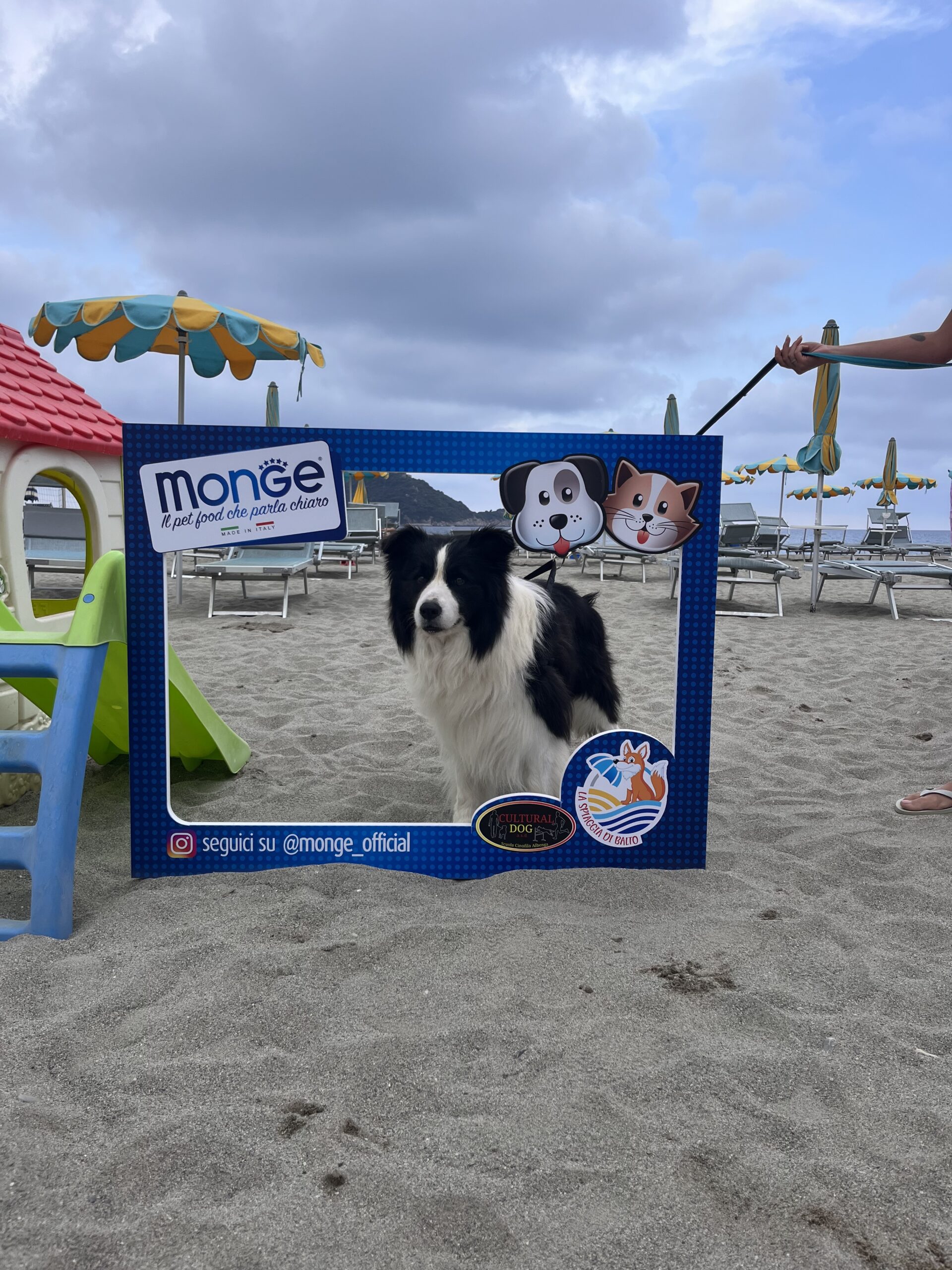Spiaggia con area attrezzata per cani ad Albenga