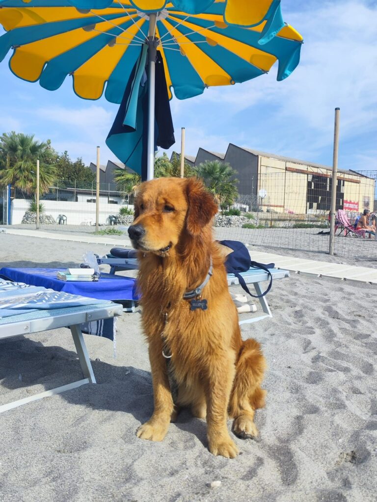 Stabilimento balneare pet friendly ad Albenga